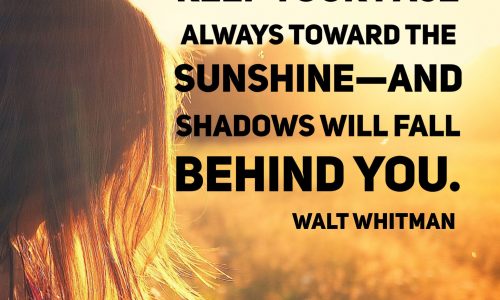 Shadow, Behind, Sunshine, Qhotes