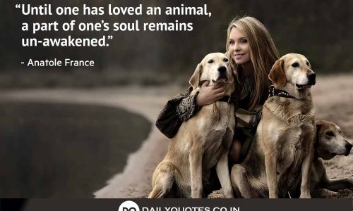 Loved, Animal, Soul, Remains, Un-awakened, Quotes