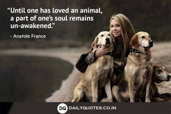 “Until one has loved an animal, a part of one’s soul remains un-awakened.”