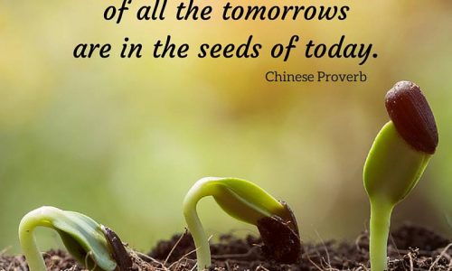 Flowers, Tomorrow, Seeds, Today Quotes