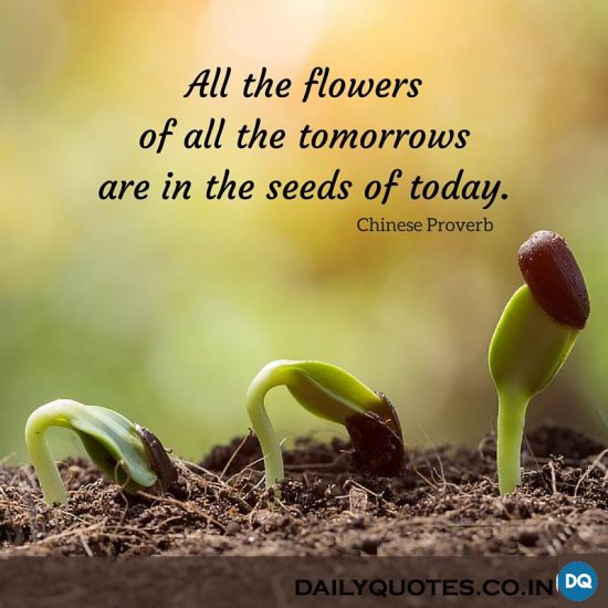 “All the flowers of tomorrow are in the seeds of today. ”