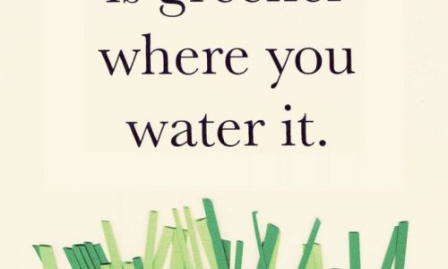 Grass, Greener, Water, Quotes