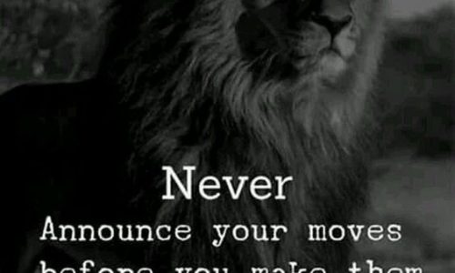 Never, Announce, Moves, Before, Quotes