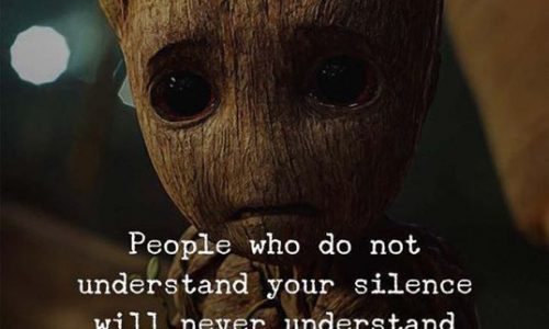 People, Understand, Silence, Never, Problems, Quotes, Dailyquotes