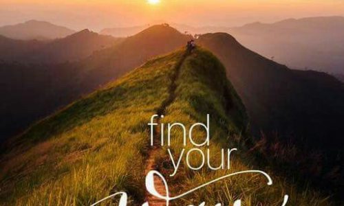 Find, Way, Life, Quotes, DailyQuotes