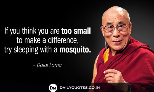 Small, Try, Sleeping, Mosquito, Quotes