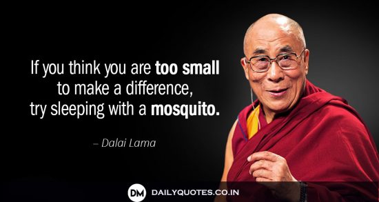 “If you think you are too small to make a difference, try sleeping with a mosquito.”