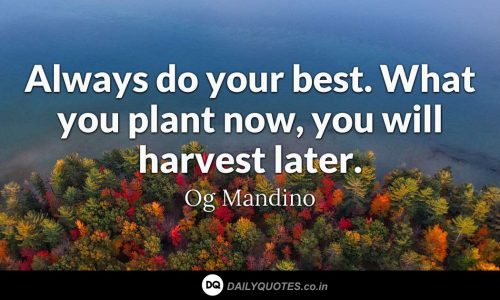 Best, Life, Plant, Harvest