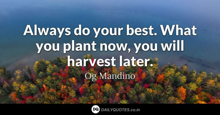 Best, Life, Plant, Harvest