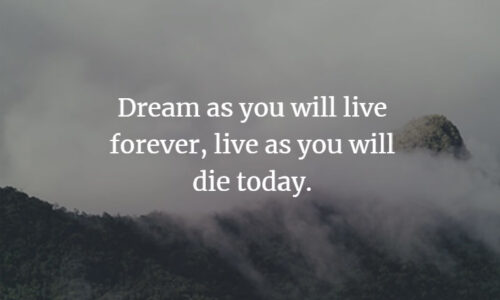 Dream as if you'll live forever Live as if you'll die today
