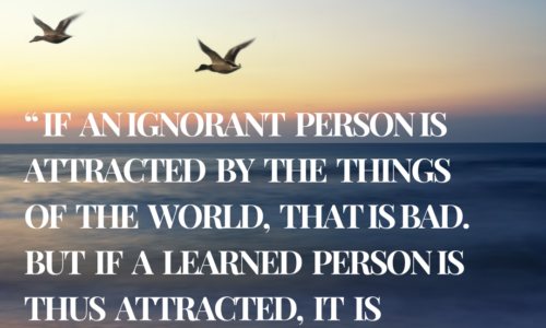 If an ignorant person is attracted by the things of the world, that is bad. But if a learned person is thus attracted, it is worse.