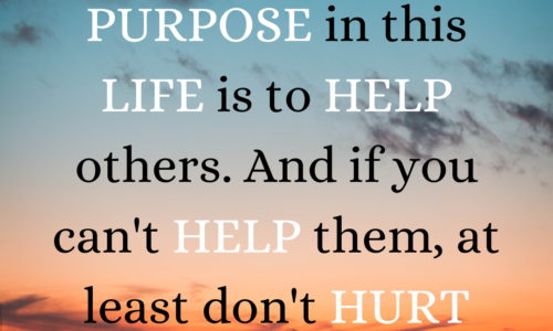 Our prime purpose in this life is to help others. And if you can't help them, at least don't hurt them.