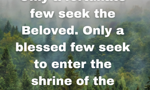 Only a fortunate few seek the Beloved. Only a blessed few seek to enter the shrine of the heart.