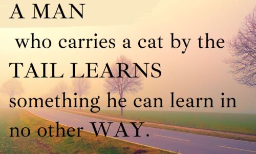 A man who carries a cat by the tail learns something he can learn in no other way.