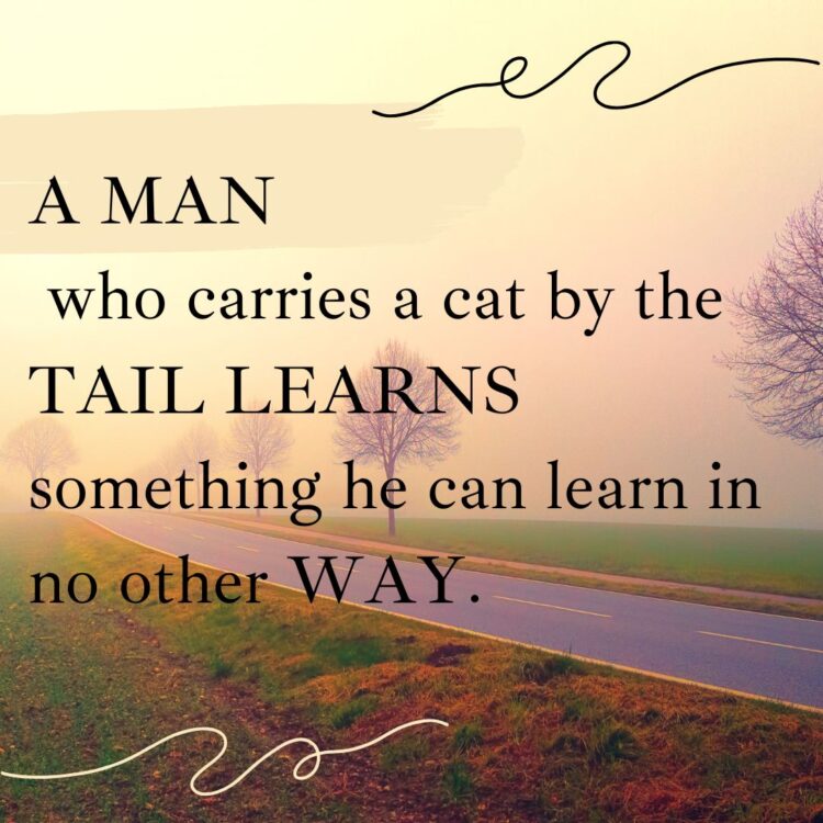 A man who carries a cat by the tail learns something he can learn in no other way.